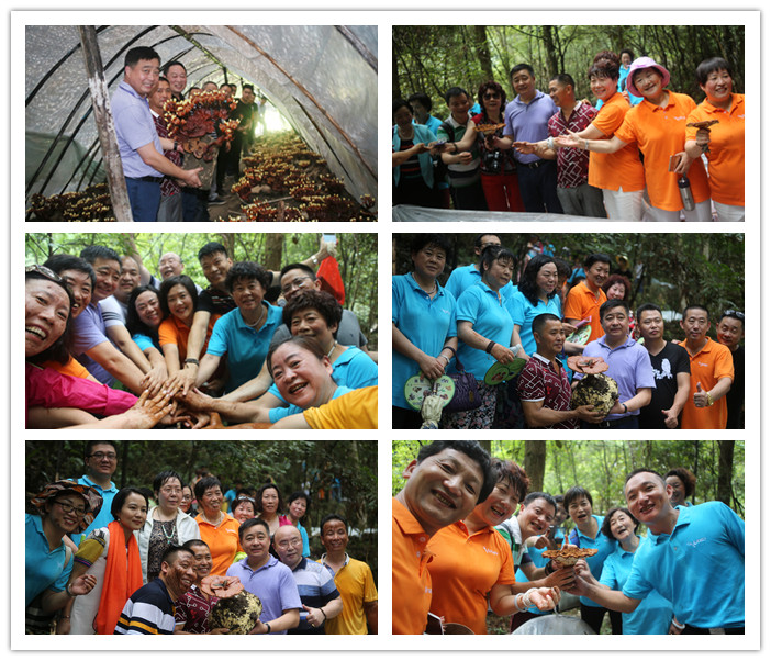 圖片關(guān)鍵詞 圖片關(guān)鍵詞