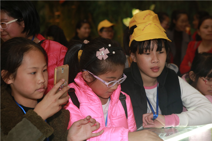 圖片關鍵詞 圖片關鍵詞