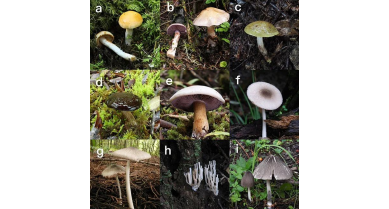 行業(yè)動態(tài)